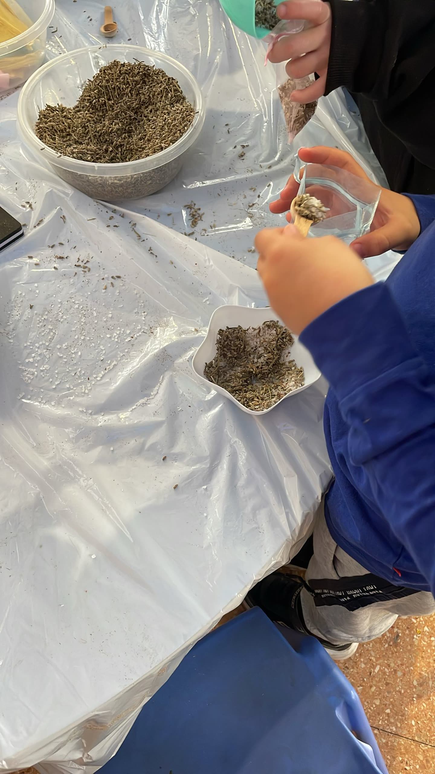 Children's Museum of the Galilee program activity